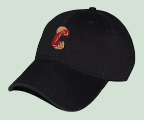 University of Charleston Hat