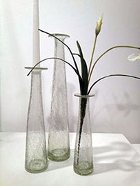 Glass Vase Translucent
