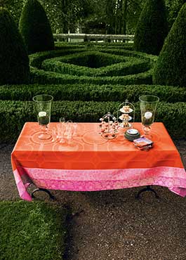 Jardin Royal Nasturtium